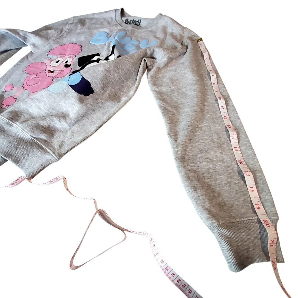 Bluey Heather Grey Sweatshirt Size M Featuring Best Buddies Front & Back Graphic - Picture 5 of 7